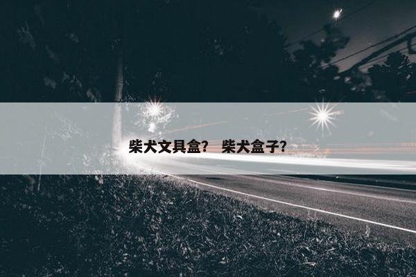 柴犬文具盒？ 柴犬盒子？