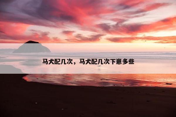 马犬配几次，马犬配几次下崽多些