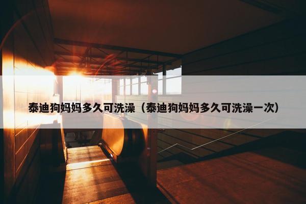 泰迪狗妈妈多久可洗澡（泰迪狗妈妈多久可洗澡一次）