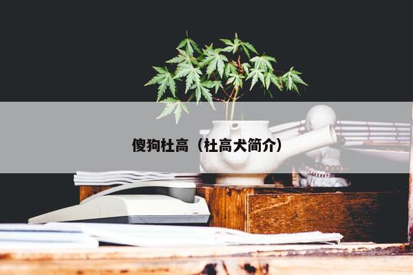 傻狗杜高（杜高犬简介）