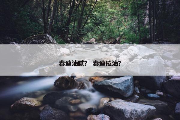 泰迪油腻？ 泰迪拉油？