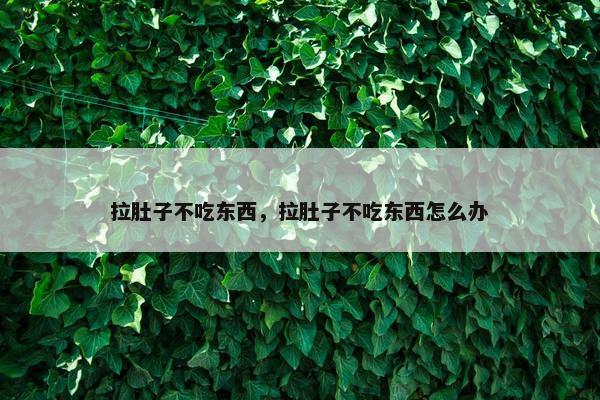 拉肚子不吃东西，拉肚子不吃东西怎么办