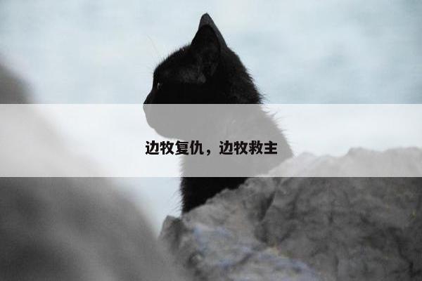 边牧复仇，边牧救主