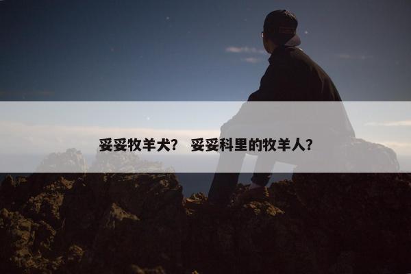 妥妥牧羊犬？ 妥妥科里的牧羊人？