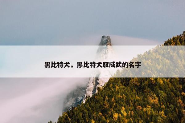 黑比特犬，黑比特犬取威武的名字