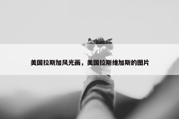 美国拉斯加风光画，美国拉斯维加斯的图片