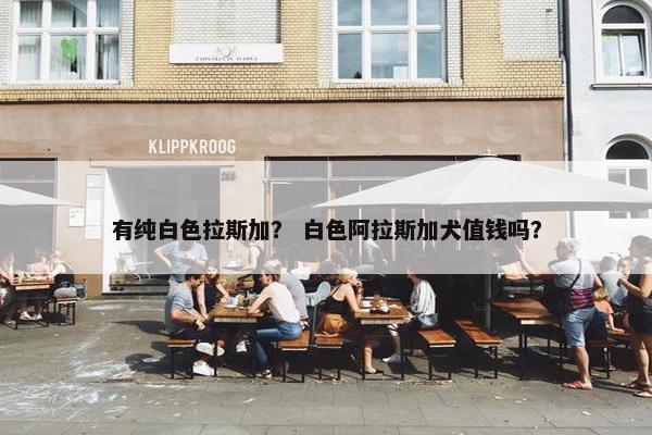 有纯白色拉斯加？ 白色阿拉斯加犬值钱吗？