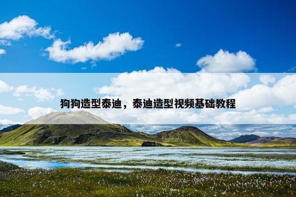 狗狗造型泰迪，泰迪造型视频基础教程