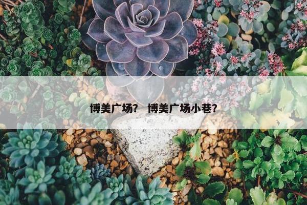 博美广场？ 博美广场小巷？