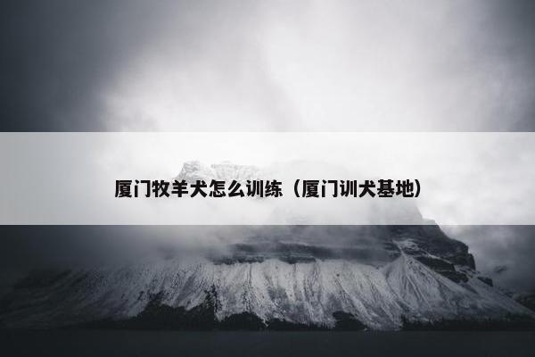 厦门牧羊犬怎么训练（厦门训犬基地）