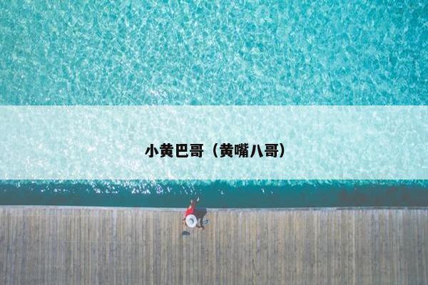 小黄巴哥（黄嘴八哥）