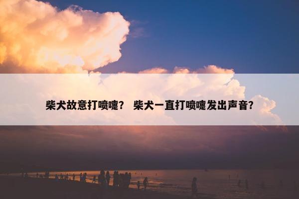 柴犬故意打喷嚏？ 柴犬一直打喷嚏发出声音？