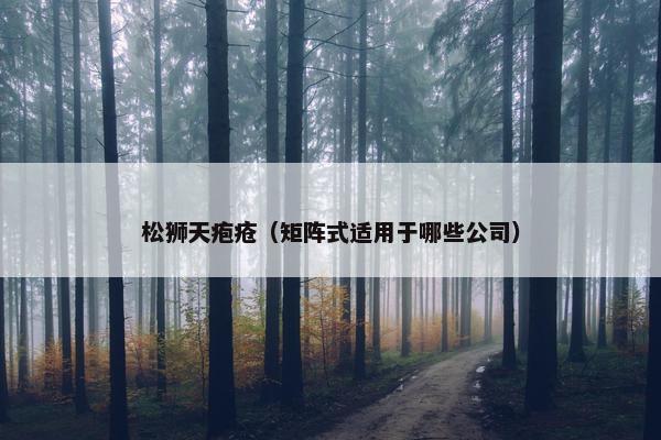 松狮天疱疮（矩阵式适用于哪些公司）