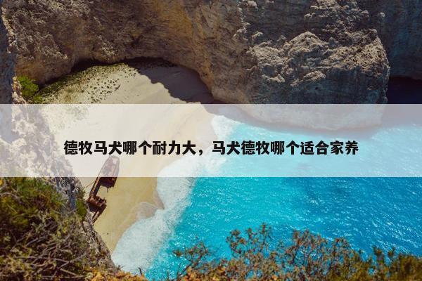 德牧马犬哪个耐力大，马犬德牧哪个适合家养