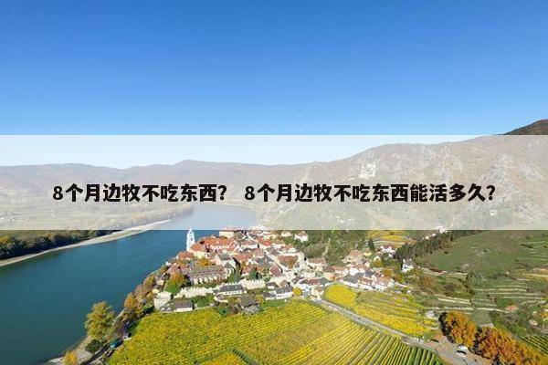 8个月边牧不吃东西？ 8个月边牧不吃东西能活多久？
