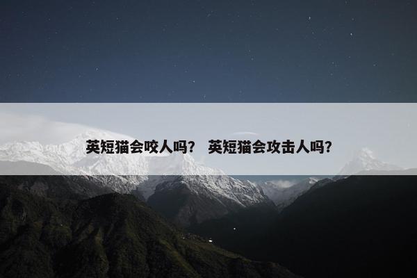 英短猫会咬人吗？ 英短猫会攻击人吗？