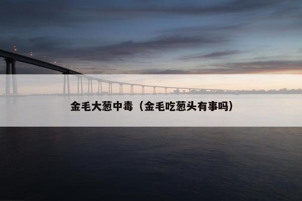 金毛大葱中毒（金毛吃葱头有事吗）