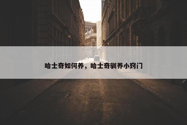 哈士奇如何养，哈士奇驯养小窍门