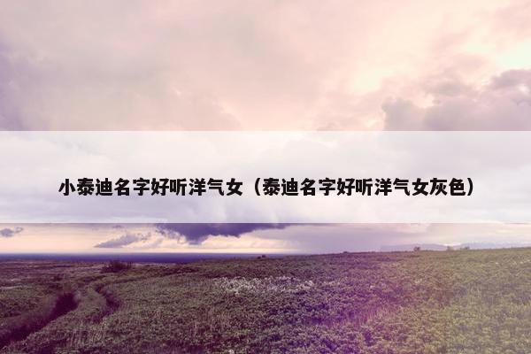 小泰迪名字好听洋气女（泰迪名字好听洋气女灰色）
