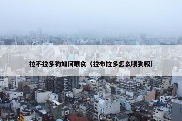 拉不拉多狗如何喂食（拉布拉多怎么喂狗粮）