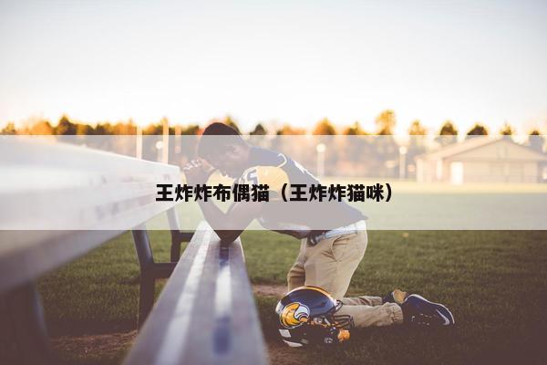 王炸炸布偶猫（王炸炸猫咪）