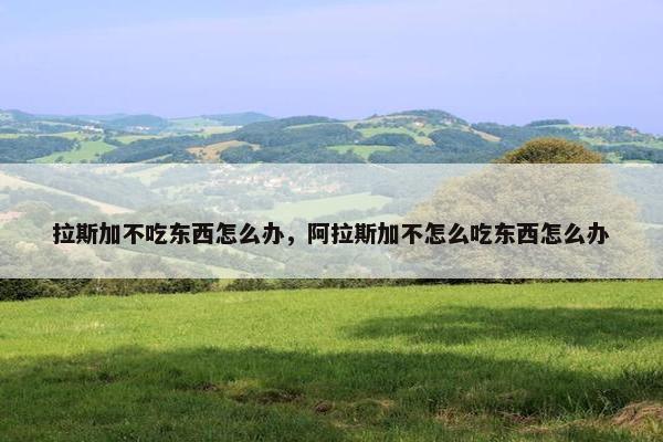 拉斯加不吃东西怎么办，阿拉斯加不怎么吃东西怎么办