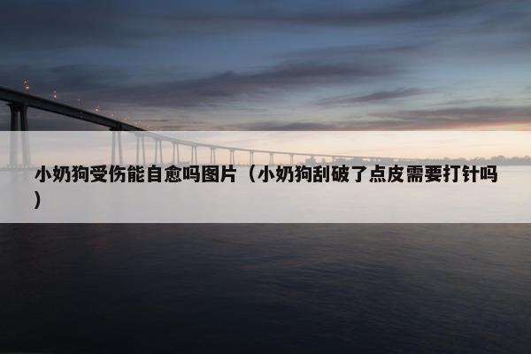 小奶狗受伤能自愈吗图片（小奶狗刮破了点皮需要打针吗）