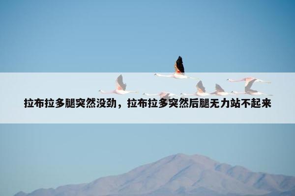 拉布拉多腿突然没劲，拉布拉多突然后腿无力站不起来