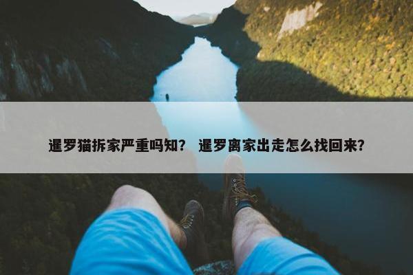 暹罗猫拆家严重吗知？ 暹罗离家出走怎么找回来？