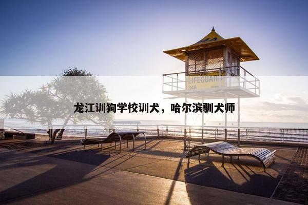 龙江训狗学校训犬，哈尔滨驯犬师