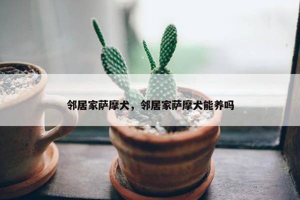 邻居家萨摩犬，邻居家萨摩犬能养吗