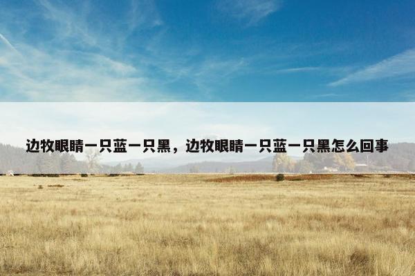 边牧眼睛一只蓝一只黑，边牧眼睛一只蓝一只黑怎么回事