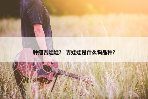 肿瘤吉娃娃？ 吉娃娃是什么狗品种？