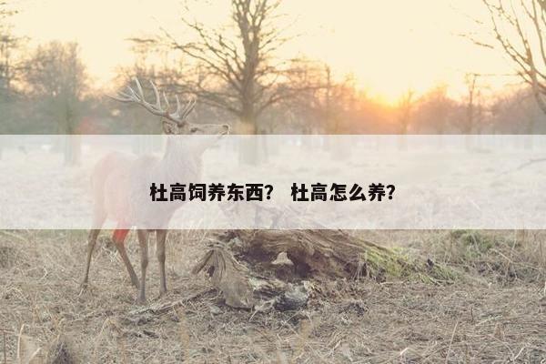 杜高饲养东西？ 杜高怎么养？