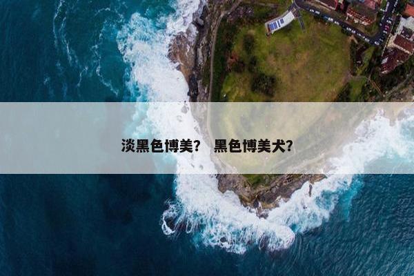 淡黑色博美？ 黑色博美犬？