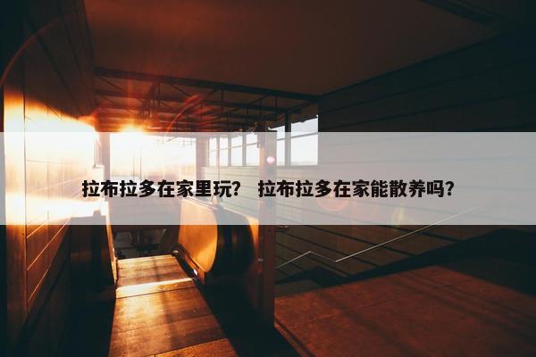 拉布拉多在家里玩？ 拉布拉多在家能散养吗？