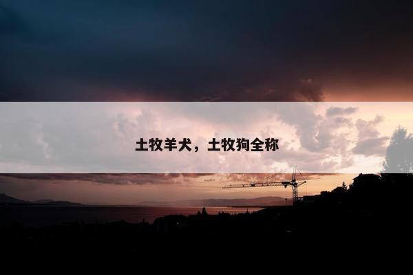 土牧羊犬，土牧狗全称