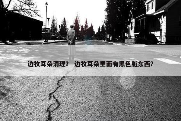 边牧耳朵清理？ 边牧耳朵里面有黑色脏东西？