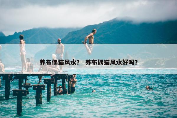 养布偶猫风水？ 养布偶猫风水好吗？