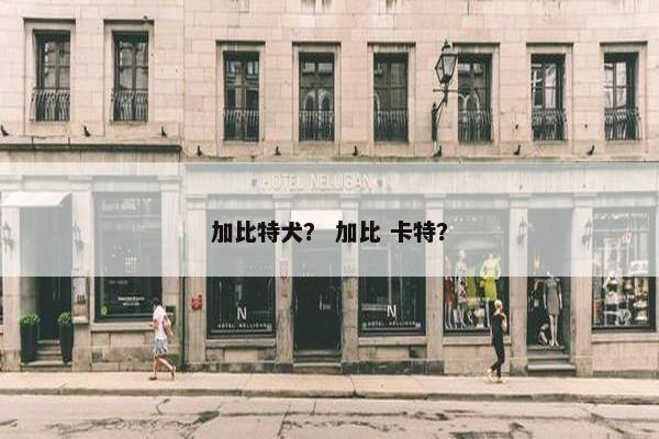 加比特犬？ 加比 卡特？