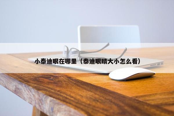 小泰迪眼在哪里（泰迪眼睛大小怎么看）