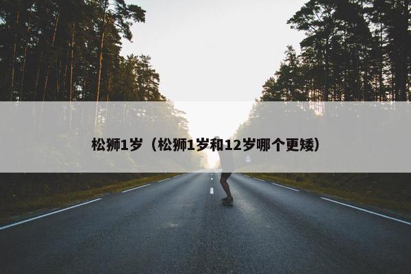 松狮1岁（松狮1岁和12岁哪个更矮）