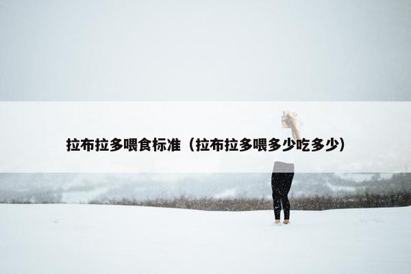 拉布拉多喂食标准（拉布拉多喂多少吃多少）