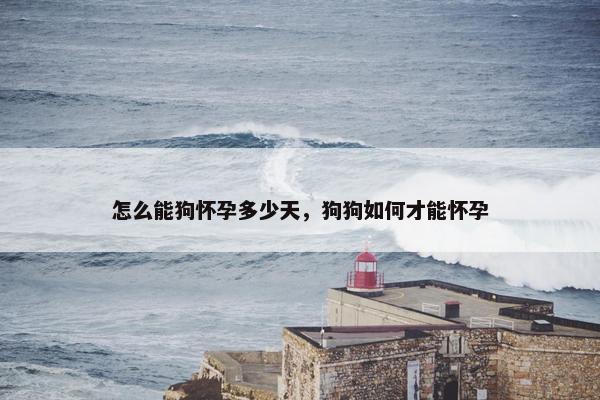 怎么能狗怀孕多少天，狗狗如何才能怀孕