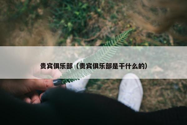贵宾俱乐部（贵宾俱乐部是干什么的）