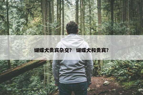 蝴蝶犬贵宾杂交？ 蝴蝶犬和贵宾？