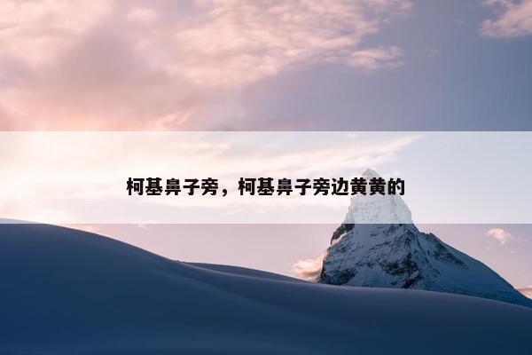 柯基鼻子旁，柯基鼻子旁边黄黄的