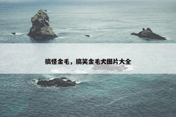 搞怪金毛，搞笑金毛犬图片大全