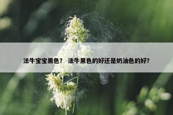 法牛宝宝黑色？ 法牛黑色的好还是奶油色的好？