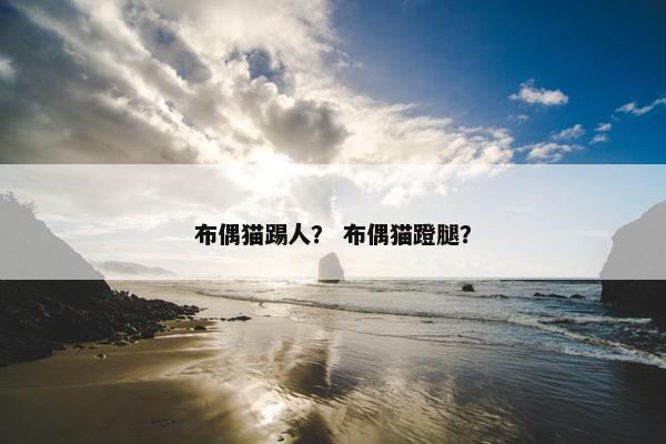 布偶猫踢人？ 布偶猫蹬腿？